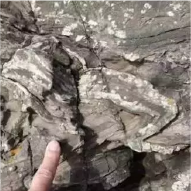 德国摩泽尔